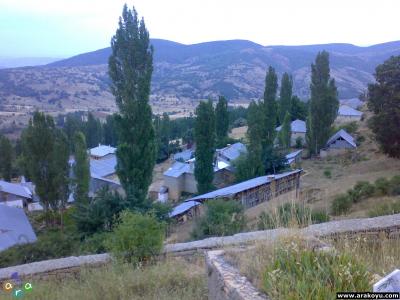 arakoyu_02_08_2007_188.jpg