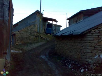 arakoyu_11_10_2010_950.jpg