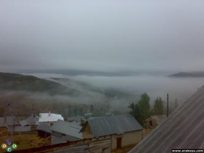 arakoyu_14_10_2010_1000.jpg