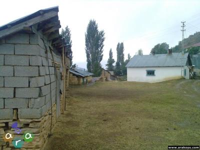 arakoyu_photo-0187.jpg