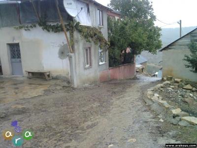 arakoyu_photo-0192.jpg