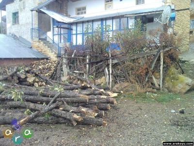 arakoyu_photo-0195.jpg