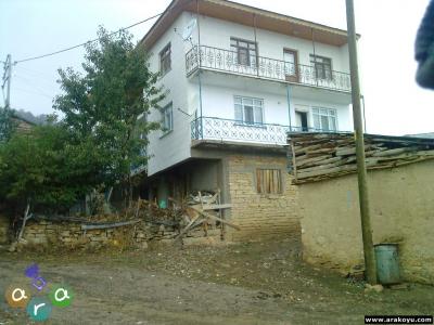 arakoyu_photo-0197.jpg