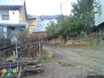 arakoyu_photo-0198.jpg