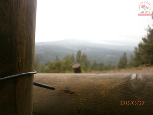 p3290406.jpg