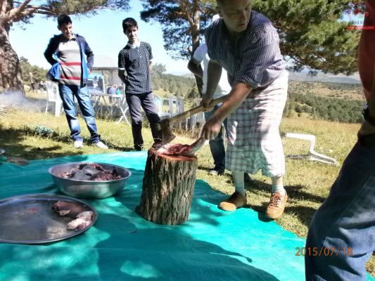 2015 Yayla Þenliðinden