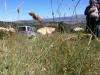 05_enlik_19_t1.jpg