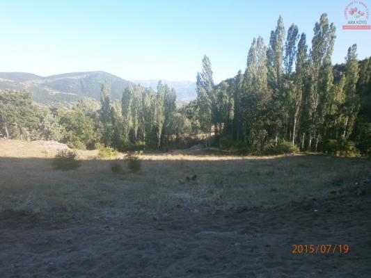 Temmuz 2015 Ara Köyü Manzaralarý