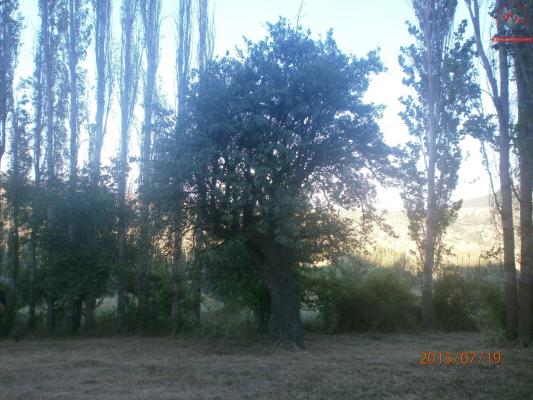 Temmuz 2015 Ara Köyü Manzaralarý