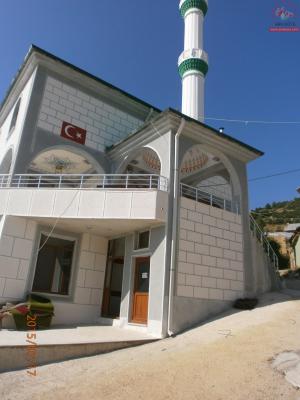 Cami