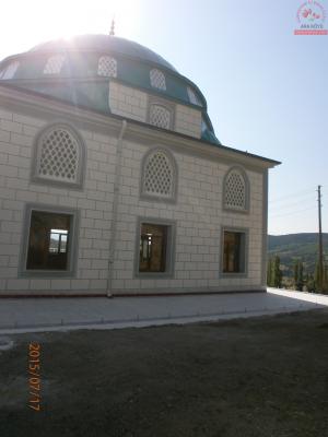 Cami