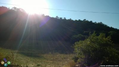 arakoyucom_2014_08_13_064.jpg